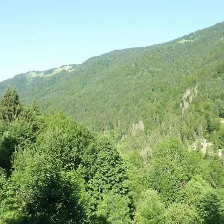 Pied Des Pistes Avec Piscine - Fr-1-573-86 Apartment *